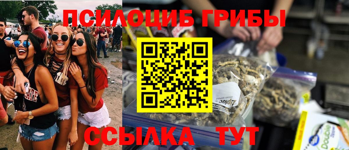 Псилоцибиновые грибы Psilocybine cubensis Назрань