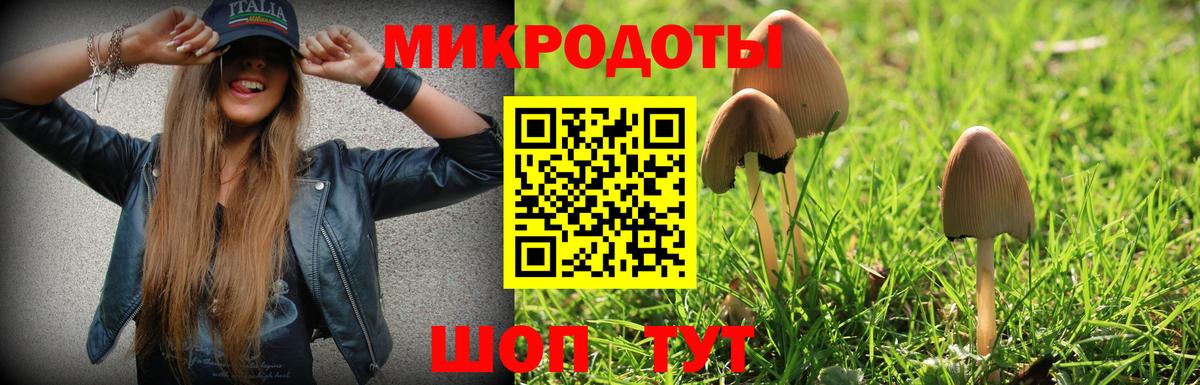 Псилоцибиновые грибы ЛСД  Псилоцибиновые грибы прущие грибы  Вход с VPN  Назрань 